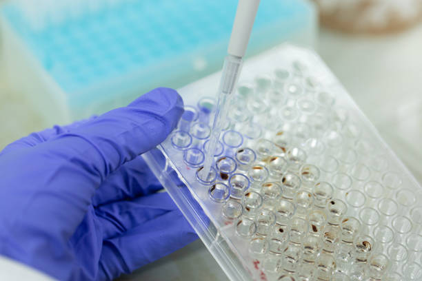 Wells In Lab 210+ Blood Well Plate Stock Photos, Pictures & Royalty-Free Images - iStock