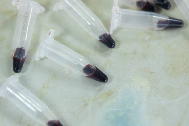 untersuchung der fischblutzusammensetzung mit 96 brunnen mikroplatte für labortests. - stem cell human cell animal cell science stock-fotos und bilder