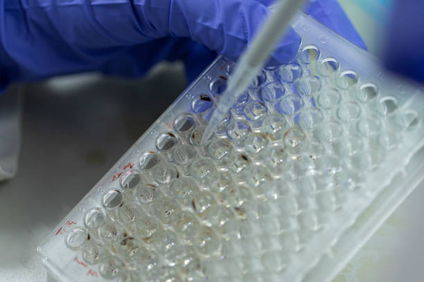 istock Study of fish blood composition with 96 wells microplate for laboratory testing. 1183894428