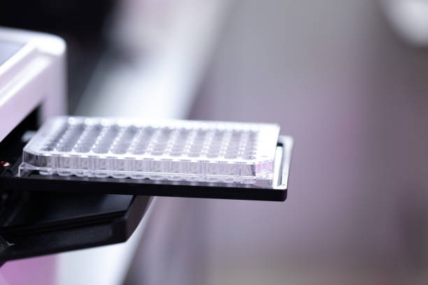 Wells In Lab 180+ Pipetting Into A 96 Well Plate Stock Photos, Pictures & Royalty ...