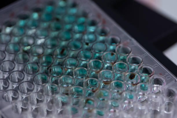 istock Study of fish blood composition with 96 wells microplate for laboratory testing. 1183894471