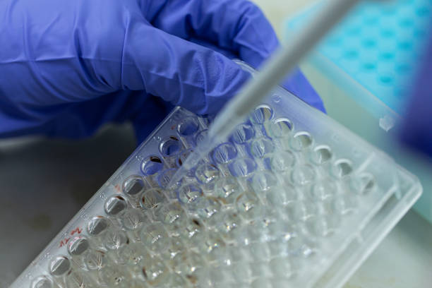 istock Study of fish blood composition with 96 wells microplate for laboratory testing. 1183894500