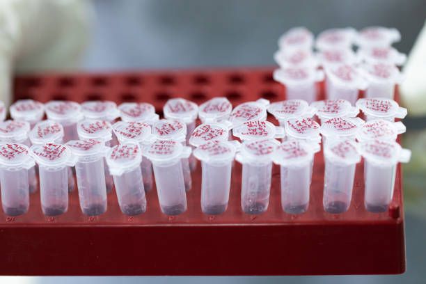Wells In Lab 180+ Pipetting Into A 96 Well Plate Stock Photos, Pictures & Royalty ...
