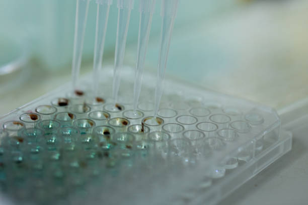 Wells In Lab 230+ Well Plate With Samples Stock Photos, Pictures & Royalty-Free ...