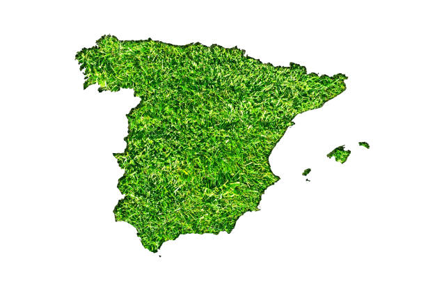 Spain map made from cutted papers with green grass
