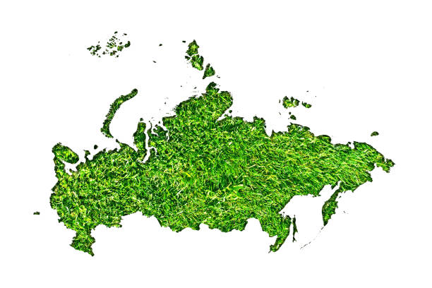 istock Russia map made from cutted papers with green grass 1183895316