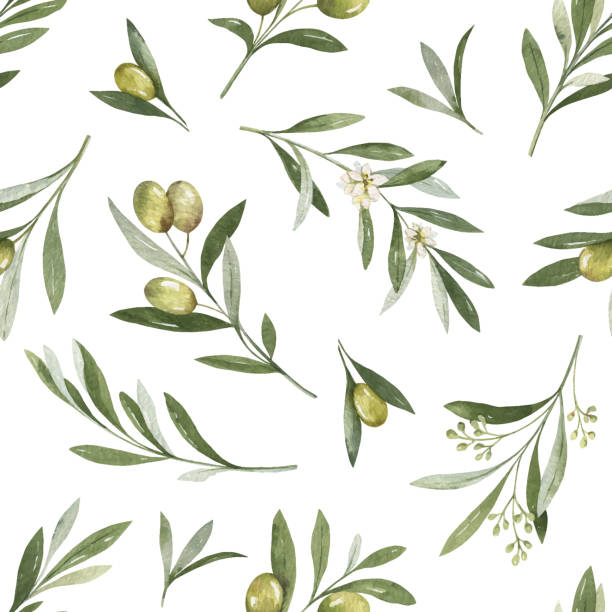akwarela wektorowy bez szwu wzór gałązek oliwnych i liści. - olive green illustration and painting backgrounds watercolor painting stock illustrations