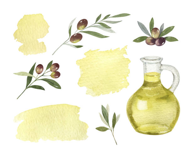 ilustrações de stock, clip art, desenhos animados e ícones de watercolor vector set of glass bottle of olive oil, branches and spots. - tempera painting