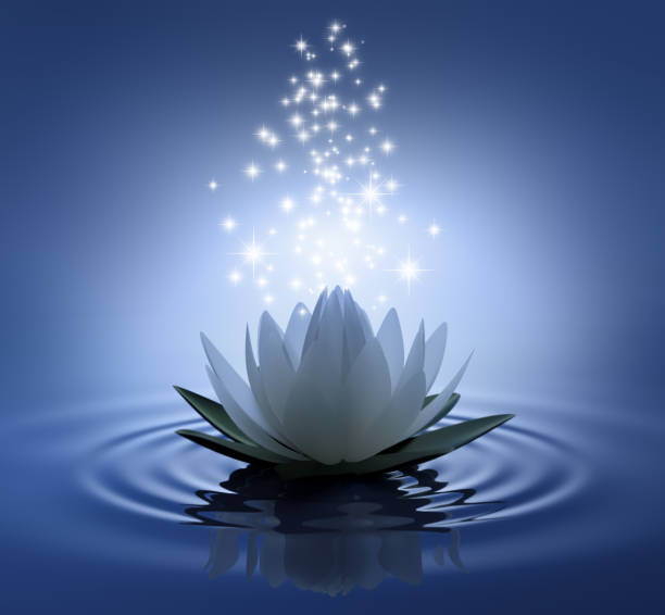 istock White lotus flower 1183897894