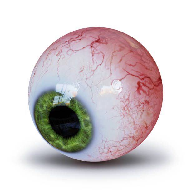 istock human eyeball with green iris isolated with shadow on white background (3d rendering) 1183898178