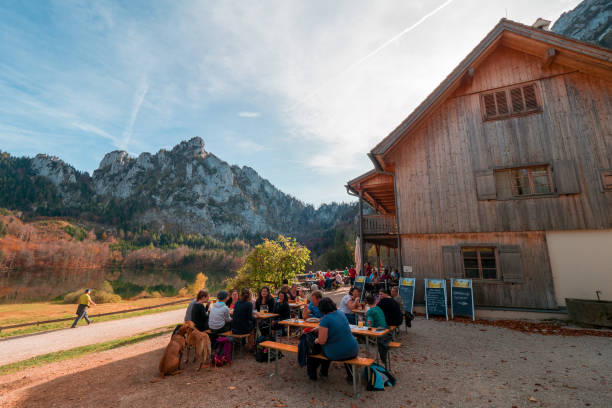 wędrowcy i turyści siedzący w słońcu na tarasie ramsauer alm i cieszący się widokiem na laudachsee i skalną ścianę katzensteina - european alps austria autumn colors zdjęcia i obrazy z banku zdjęć
