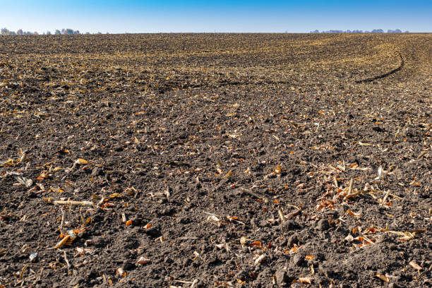 istock Cultivated soil on field 1183899776