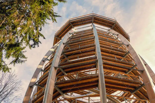 Gmunden, Austria - October 24th 2019: The new observation tower of the "Baumwipfelpfad", an Austrian attraction at the Grünberg near Gmunden, rises atop the Grünberg mountain.