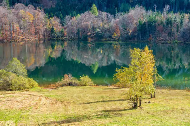 Gmunden, Austria - October 24th 2019: Beautiful landscape enclosed by Traunstein, Katzenstein and the Grünberg mountain.