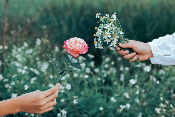 istock Hand holding  grass flower in the meadow. 1183902865