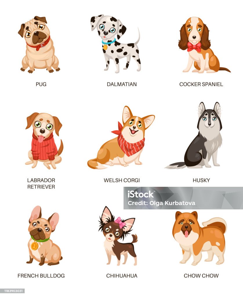 Cute Dogs Furry Human Friends Home Animals Different Breed Pug Labrador And  Husky Funny Pets Happy Puppies Cartoon Vector Characters Stock Illustration  - Download Image Now - iStock