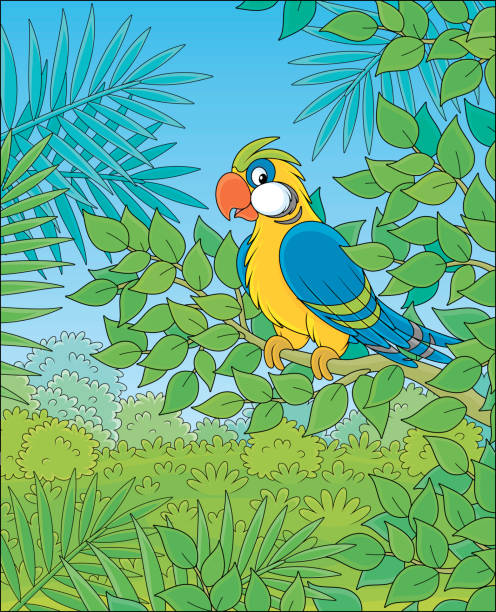 забавный попугай на ветке - parrot multi colored bird perching stock illustrations