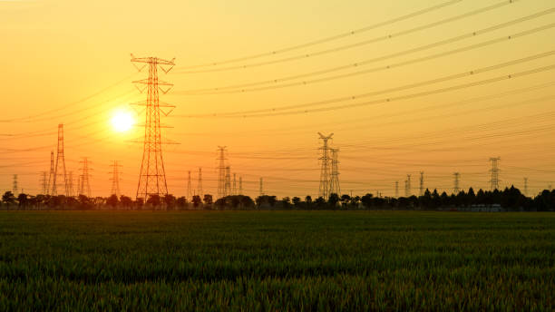 istock High voltage tower silhouette and sky landscape at dusk 1183904872