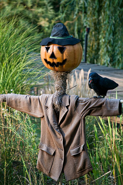 istock Scarecrow with Pumpkinface 118390504