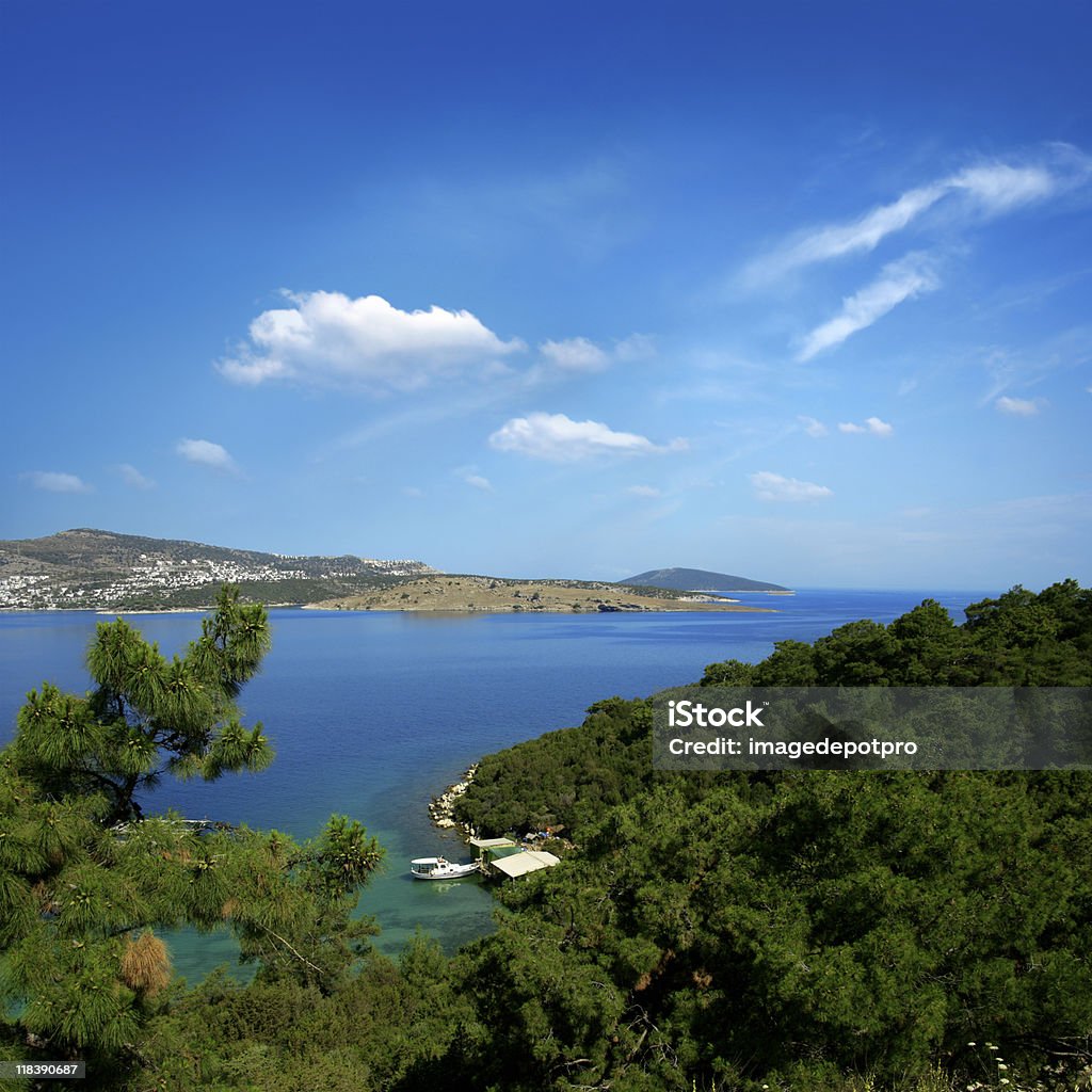 Bosque por mar - Foto de stock de Escena rural libre de derechos