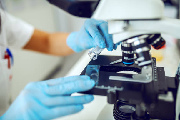 istock Close up of female lab assistant dropping sample on glass. 1183907975