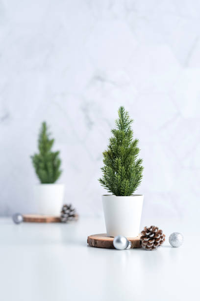 istock christmas tree with pine cone,decor xmas ball on wood log at white table and marble tile wall background.clean minimal simple style.holiday still life with space to adding text 1183908176