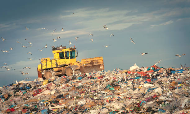 kompaktor śmieci pracujący na złomowisku - landfill garbage dump garbage bird zdjęcia i obrazy z banku zdjęć