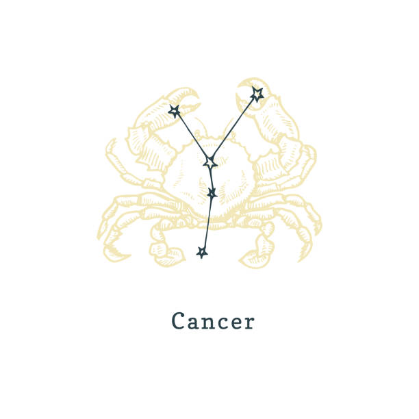 Zodiacal constellation of Cancer on background of hand drawn symbol in engraving style.Vector illustration of sign Crab. Zodiacal constellation of Cancer on background of hand drawn symbol in engraving style. Vector retro graphic illustration of astrological sign Crab. cancer astrology sign stock illustrations