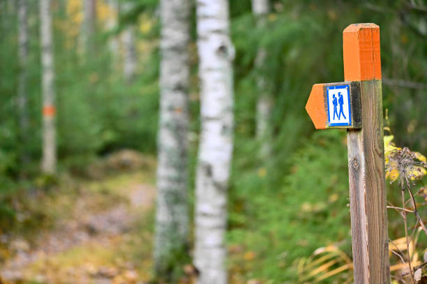 istock trail through forest in Sweden marked in orange 1183910117