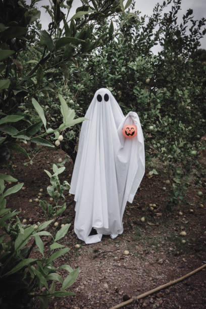 istock Ghost covered with a white ghost sheet on a forest with halloween pumpkin candy jar. 1183910512