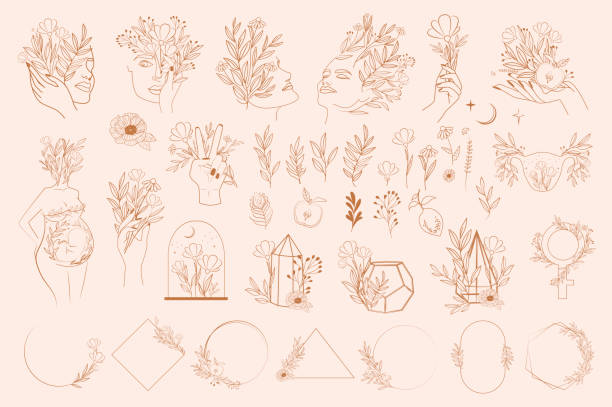 한 줄 스타일의 추상 적 잎과 꽃 요소, 손과 소녀 초상화의 집합입니다. - computer graphic leaf posing plant stock illustrations