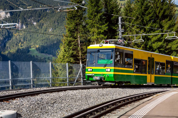 Wengen, Switzerland green and yellow train of the Wengernalpbahn from Lauterbrunnen to Kleine Scheidegg arriving to railway station