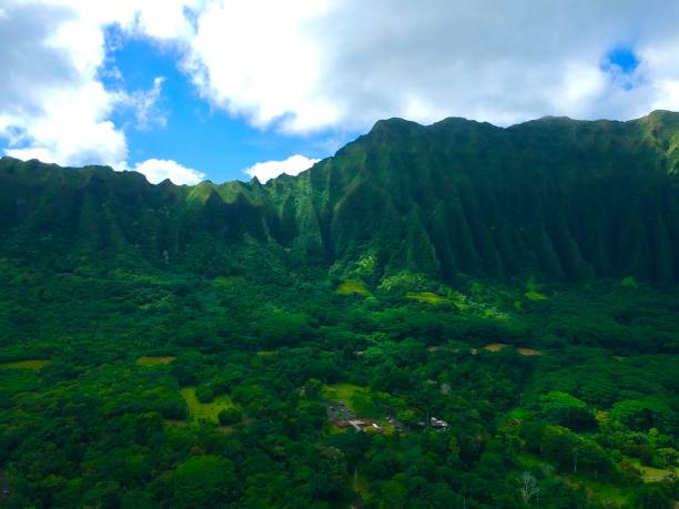 istock Hawaii from above by drone 1183913244