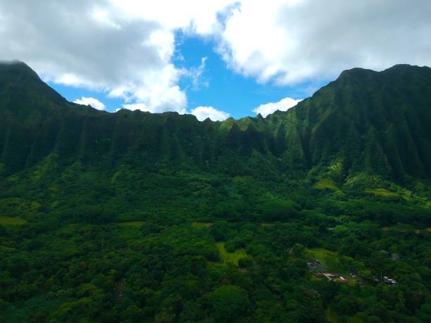 istock Hawaii from above by drone 1183913485
