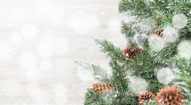 istock Christmas card with fir tree 1183914282
