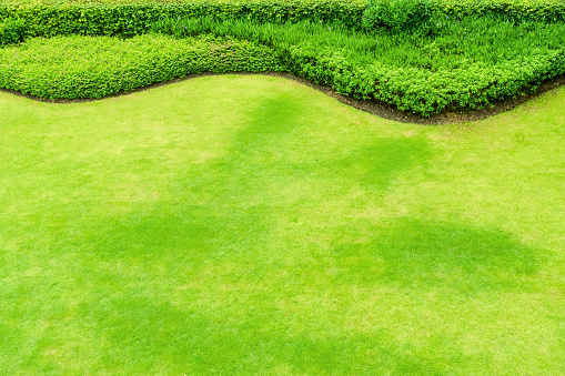 Top view of green lawns, green lawns and shrubs are beautifully designed for the background.