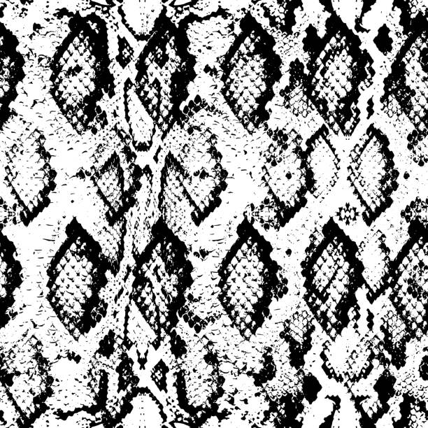 istock Snake skin scales texture. Seamless pattern black white background. simple ornament, fashion print and trend of the season Can be used for Gift wrap, fabrics, wallpapers. Vector 1183917120