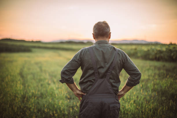 istock Senior man standing on the farm 1183917898