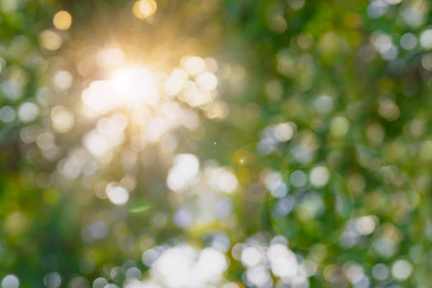 istock Abstract blurred natural background with sun spots. 1183920885