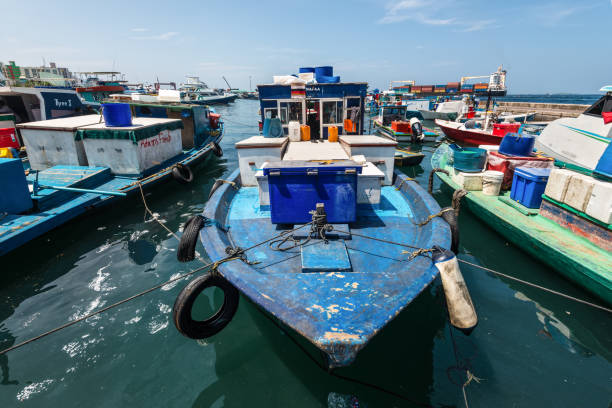 Fishing and transport boats near fresh fish market in Male, Maldives Male, Maldives - November 16, 2017: Area of fresh fish market in Male, Maldives. Transport boat are moored at the pier. Oceans pollution. maldives fish market photos stock pictures, royalty-free photos & images