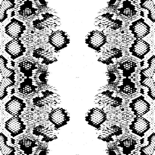 70+ Reticulated Python Background Stock Illustrations, Royalty-Free ...