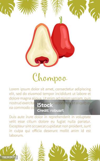Champoo Fruit Java Champoo Exotic Ripe Fruit Vector Poster Java Apple Stock Illustration ...