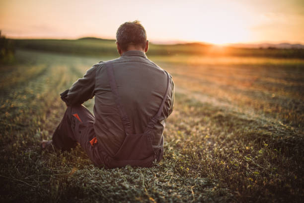 istock Senior farmer sitting on the field 1183924715