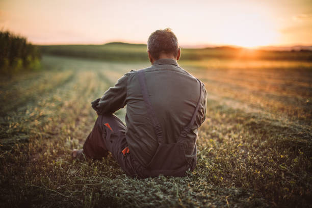 istock Senior farmer sitting on the field 1183924733