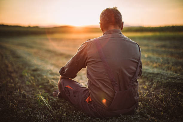 istock Senior farmer sitting on the field 1183924766
