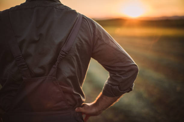 istock Senior man standing on the farm 1183924822