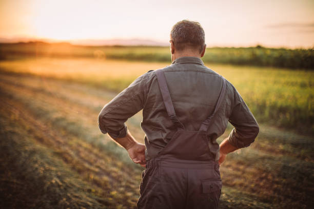 istock Senior man standing on the farm 1183924902