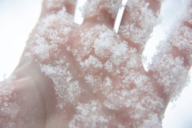 istock closer look at melting snowflakes on humans hand 1183925343
