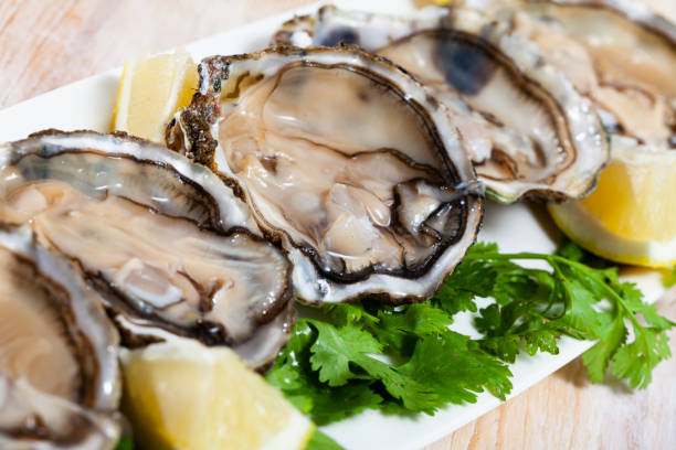 istock Seafood appetizer fresh oysters with lemon and parsley on white plate 1183927626