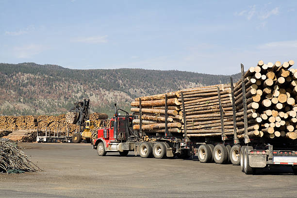 istock loaded truck on a lumberyard 118392911